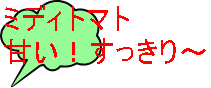 �~�f�B�g�}�g �Â��I��������`