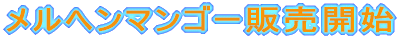 �����A�͔|���ł��B
