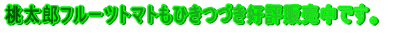 12�������g�}�g�̔��\��ł��B ���܂��΂炭���҂����������I